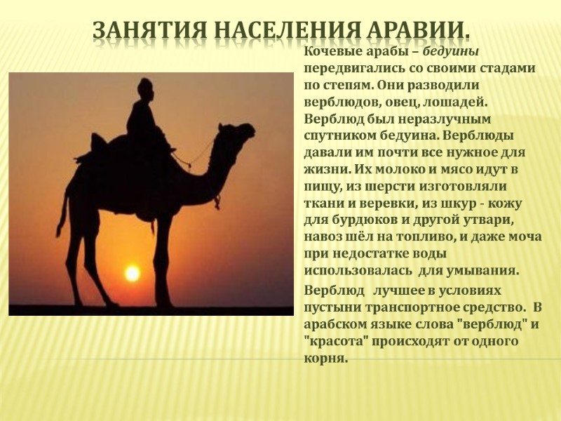 Занятия населения Аравии. Кочевые арабы – бедуины передвигались со своими стадами по степям. Они